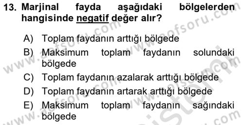 Genel Ekonomi Dersi 2024 - 2025 Yılı (Vize) Ara Sınav Soruları 13. Soru