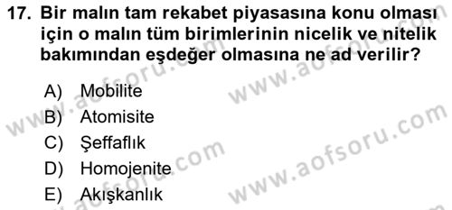 Genel Ekonomi Dersi 2024 - 2025 Yılı (Vize) Ara Sınav Soruları 17. Soru