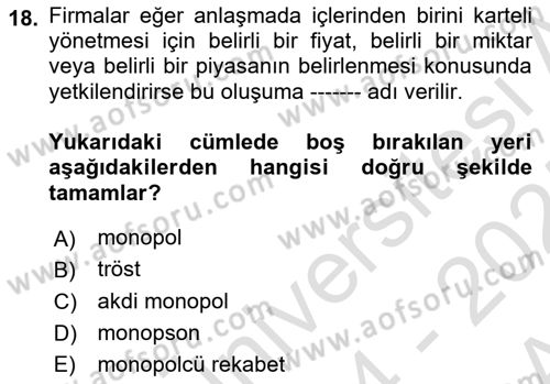 Genel Ekonomi Dersi 2024 - 2025 Yılı (Vize) Ara Sınav Soruları 18. Soru