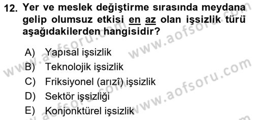 Genel Ekonomi Dersi 2024 - 2025 Yılı Yaz Okulu Sınav Soruları 12. Soru