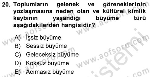 Genel Ekonomi Dersi 2024 - 2025 Yılı Yaz Okulu Sınav Soruları 20. Soru