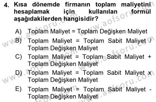 Genel Ekonomi Dersi 2024 - 2025 Yılı Yaz Okulu Sınav Soruları 4. Soru