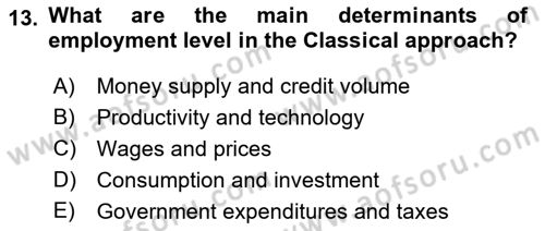 Introduction to Economics 2 Dersi 2017 - 2018 Yılı (Vize) Ara Sınav Soruları 13. Soru