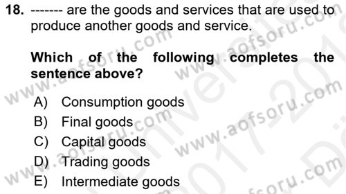 Introduction to Economics 2 Dersi 2017 - 2018 Yılı (Vize) Ara Sınav Soruları 18. Soru