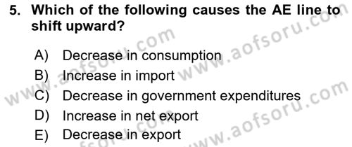 Introduction to Economics 2 Dersi 2017 - 2018 Yılı (Vize) Ara Sınav Soruları 5. Soru