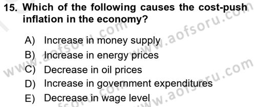 Introduction to Economics 2 Dersi 2017 - 2018 Yılı (Final) Dönem Sonu Sınav Soruları 15. Soru