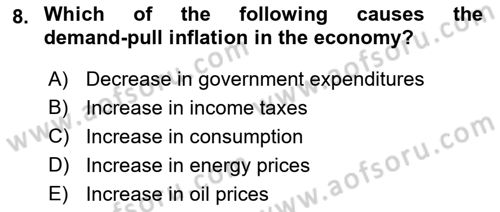 Introduction to Economics 2 Dersi 2017 - 2018 Yılı (Final) Dönem Sonu Sınav Soruları 8. Soru