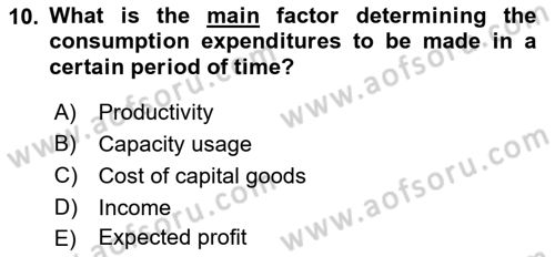 Introduction to Economics 2 Dersi 2018 - 2019 Yılı (Vize) Ara Sınavı 10. Soru