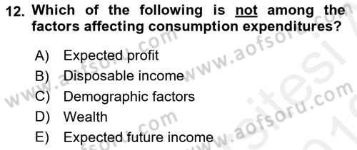 Introduction to Economics 2 Dersi 2018 - 2019 Yılı (Vize) Ara Sınavı 12. Soru