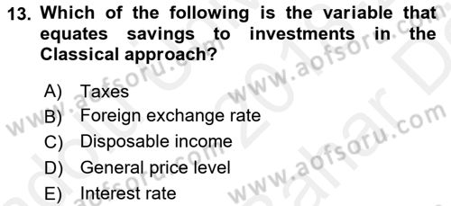 Introduction to Economics 2 Dersi 2018 - 2019 Yılı (Vize) Ara Sınavı 13. Soru