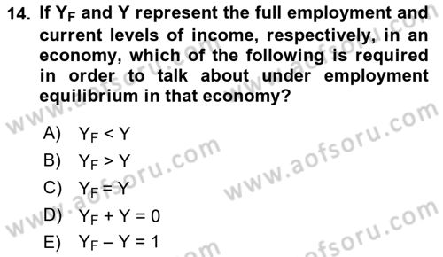 Introduction to Economics 2 Dersi 2018 - 2019 Yılı (Vize) Ara Sınavı 14. Soru