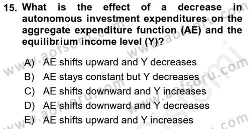 Introduction to Economics 2 Dersi 2018 - 2019 Yılı (Vize) Ara Sınavı 15. Soru