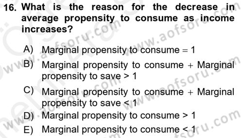 Introduction to Economics 2 Dersi 2018 - 2019 Yılı (Vize) Ara Sınavı 16. Soru