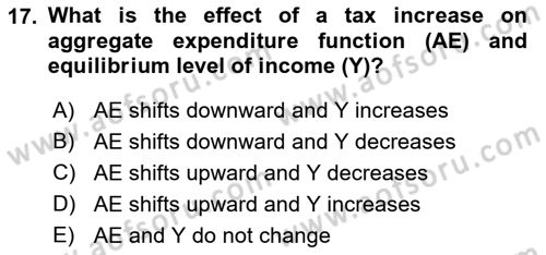 Introduction to Economics 2 Dersi 2018 - 2019 Yılı (Vize) Ara Sınavı 17. Soru