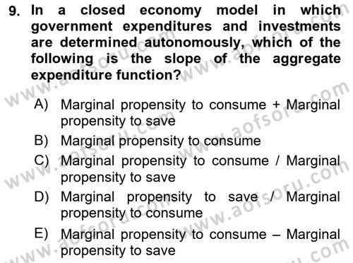 Introduction to Economics 2 Dersi 2018 - 2019 Yılı (Vize) Ara Sınavı 9. Soru