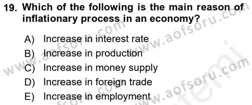 Introduction to Economics 2 Dersi 2018 - 2019 Yılı (Final) Dönem Sonu Sınav Soruları 19. Soru