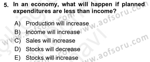 Introduction to Economics 2 Dersi 2018 - 2019 Yılı (Final) Dönem Sonu Sınav Soruları 5. Soru