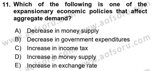 Introduction to Economics 2 Dersi 2018 - 2019 Yılı Yaz Okulu Sınav Soruları 11. Soru