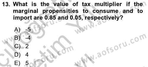 Introduction to Economics 2 Dersi 2018 - 2019 Yılı Yaz Okulu Sınav Soruları 13. Soru