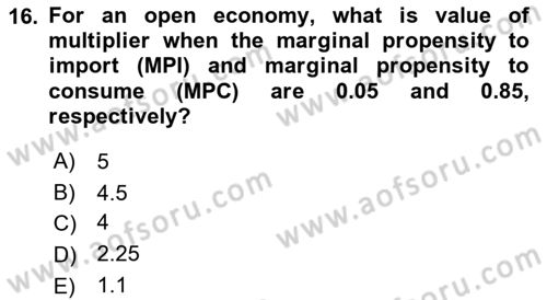 Introduction to Economics 2 Dersi 2018 - 2019 Yılı Yaz Okulu Sınav Soruları 16. Soru