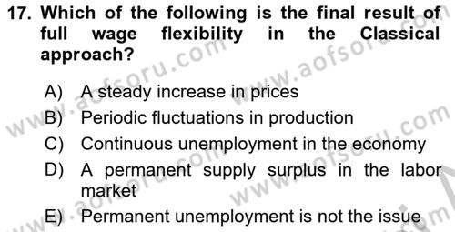 Introduction to Economics 2 Dersi 2018 - 2019 Yılı Yaz Okulu Sınav Soruları 17. Soru