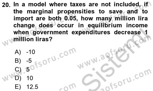 Introduction to Economics 2 Dersi 2018 - 2019 Yılı Yaz Okulu Sınav Soruları 20. Soru