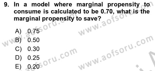 Introduction to Economics 2 Dersi 2018 - 2019 Yılı Yaz Okulu Sınav Soruları 9. Soru