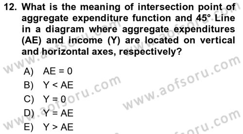 Introduction to Economics 2 Dersi 2020 - 2021 Yılı Yaz Okulu Sınav Soruları 12. Soru