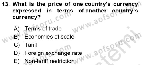 Introduction to Economics 2 Dersi 2020 - 2021 Yılı Yaz Okulu Sınav Soruları 13. Soru