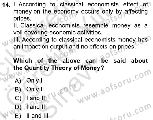Introduction to Economics 2 Dersi 2020 - 2021 Yılı Yaz Okulu Sınav Soruları 14. Soru