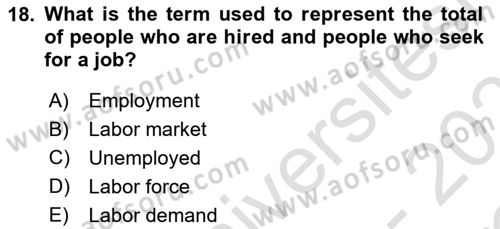 Introduction to Economics 2 Dersi 2020 - 2021 Yılı Yaz Okulu Sınav Soruları 18. Soru