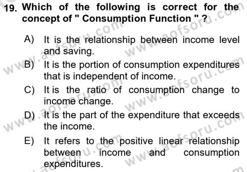 Introduction to Economics 2 Dersi 2020 - 2021 Yılı Yaz Okulu Sınav Soruları 19. Soru