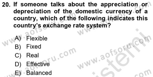 Introduction to Economics 2 Dersi 2020 - 2021 Yılı Yaz Okulu Sınavı 20. Soru