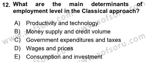 Introduction to Economics 2 Dersi 2021 - 2022 Yılı (Vize) Ara Sınav Soruları 12. Soru