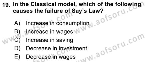 Introduction to Economics 2 Dersi 2021 - 2022 Yılı (Vize) Ara Sınavı 19. Soru
