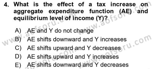 Introduction to Economics 2 Dersi 2021 - 2022 Yılı (Vize) Ara Sınav Soruları 4. Soru