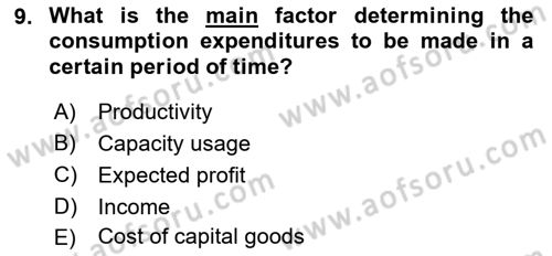 Introduction to Economics 2 Dersi 2021 - 2022 Yılı (Vize) Ara Sınavı 9. Soru