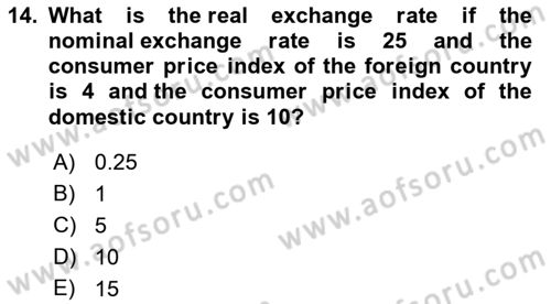 Introduction to Economics 2 Dersi 2021 - 2022 Yılı (Final) Dönem Sonu Sınav Soruları 14. Soru