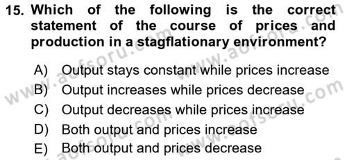 Introduction to Economics 2 Dersi 2021 - 2022 Yılı (Final) Dönem Sonu Sınav Soruları 15. Soru