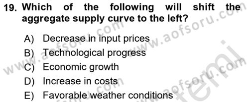 Introduction to Economics 2 Dersi 2021 - 2022 Yılı (Final) Dönem Sonu Sınav Soruları 19. Soru