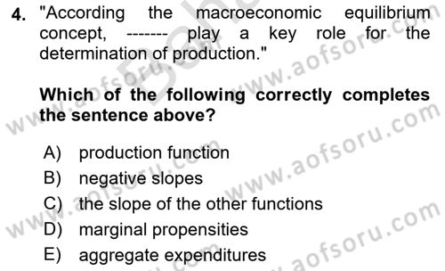 Introduction to Economics 2 Dersi 2021 - 2022 Yılı (Final) Dönem Sonu Sınav Soruları 4. Soru