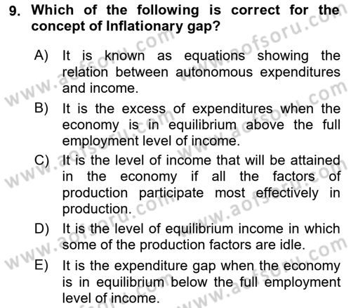 Introduction to Economics 2 Dersi 2021 - 2022 Yılı (Final) Dönem Sonu Sınav Soruları 9. Soru