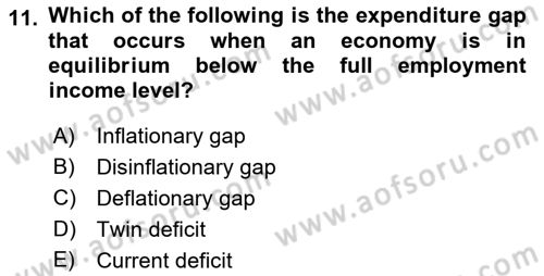 Introduction to Economics 2 Dersi 2021 - 2022 Yılı Yaz Okulu Sınav Soruları 11. Soru