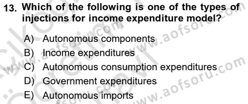 Introduction to Economics 2 Dersi 2021 - 2022 Yılı Yaz Okulu Sınav Soruları 13. Soru