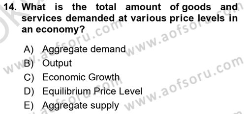 Introduction to Economics 2 Dersi 2021 - 2022 Yılı Yaz Okulu Sınav Soruları 14. Soru