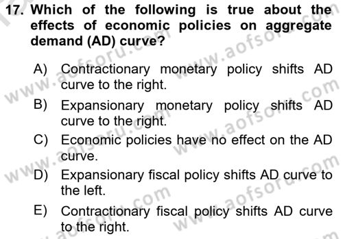 Introduction to Economics 2 Dersi 2021 - 2022 Yılı Yaz Okulu Sınav Soruları 17. Soru