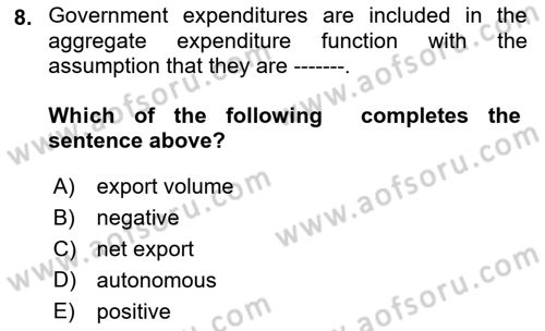 Introduction to Economics 2 Dersi 2021 - 2022 Yılı Yaz Okulu Sınav Soruları 8. Soru