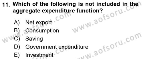 Introduction to Economics 2 Dersi 2022 - 2023 Yılı Yaz Okulu Sınav Soruları 11. Soru