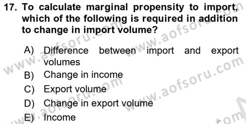 Introduction to Economics 2 Dersi 2022 - 2023 Yılı Yaz Okulu Sınav Soruları 17. Soru