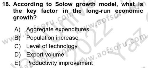 Introduction to Economics 2 Dersi 2022 - 2023 Yılı Yaz Okulu Sınav Soruları 18. Soru